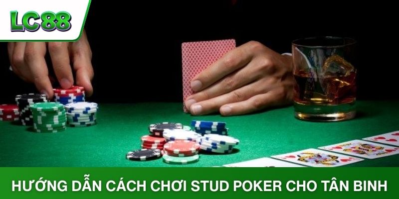 Hướng dẫn cách chơi Stud Poker cho tân binh